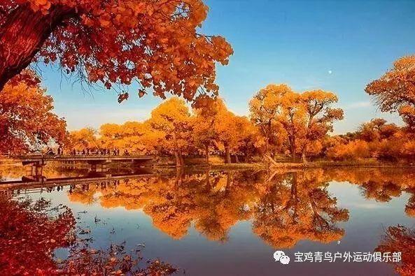 逃离残破的船只